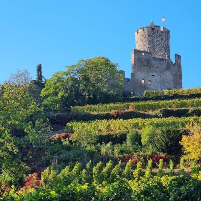 La Jolie Maison Bleue, Au Coeur De L'Alsace Kaysersberg-Vignoble Extérieur photo