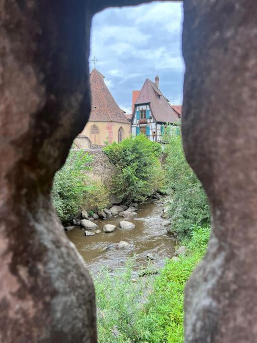 La Jolie Maison Bleue, Au Coeur De L'Alsace Kaysersberg-Vignoble Extérieur photo