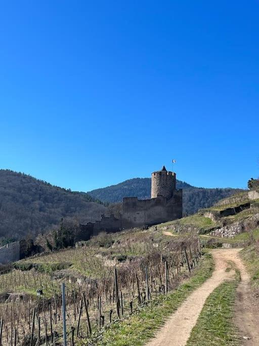 La Jolie Maison Bleue, Au Coeur De L'Alsace Kaysersberg-Vignoble Extérieur photo